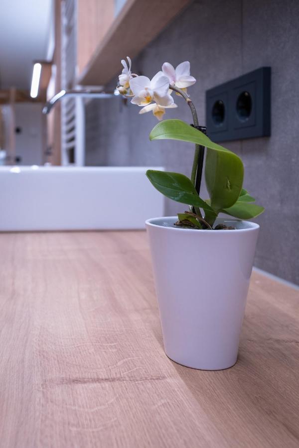 Apartment Haus Schoenwies Алпбах Екстериор снимка